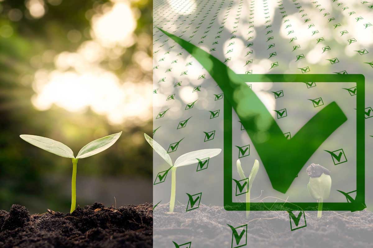 Sustainability Benchmarking